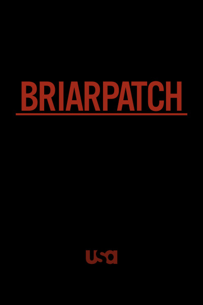 ბრაერპატჩი ქართულად - Briarpatch