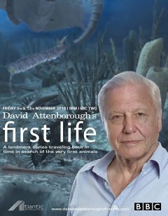First Life