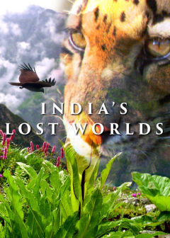 Indias Lost Worlds