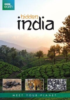 Hidden India