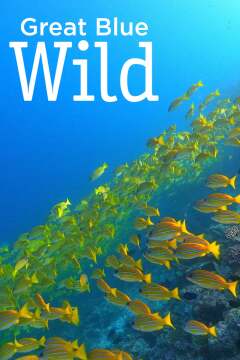 Great Blue Wild