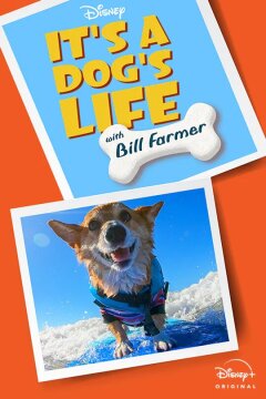 Its A Dogs Life