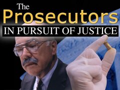 The Prosecutors: In Pursuit of Justice