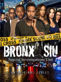 Bronx SIU ქართულად - Бронкс: отдел