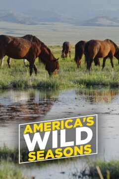 Americas Wild Seasons