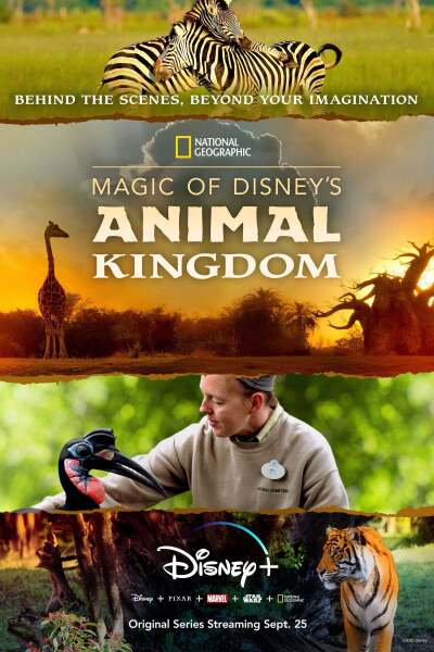 Magic of Disneys Animal Kingdom