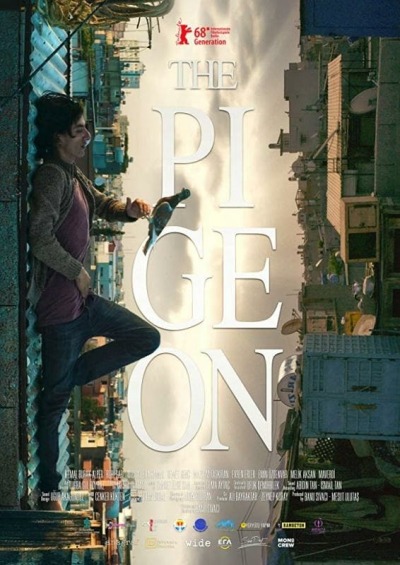 მტრედი ქართულად - The Pigeon