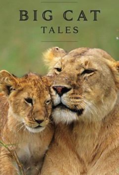 დიდი კატის ისტორიები ქართულად - Big Cat Tales