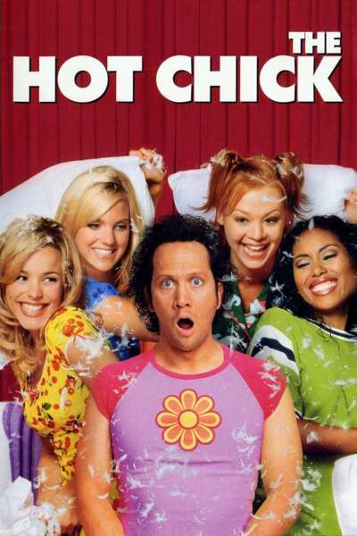 მაგარი გოგონა ქართულად - The Hot Chick