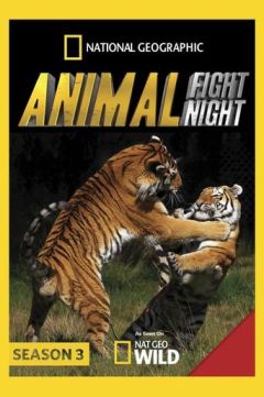 ცხოველთა ბრძოლის ღამე ქართულად - Animal Fight