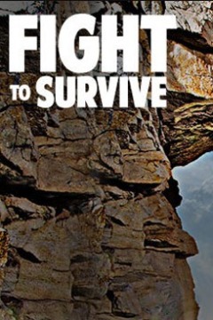 Fight to Survive