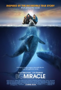 დიდი საოცრება ქართულად - Big Miracle