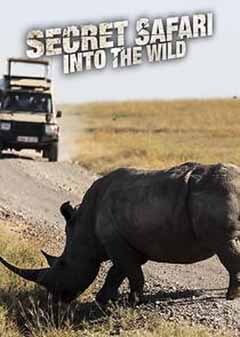 Secret Safari: Into the Wild