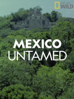 Mexico Untamed