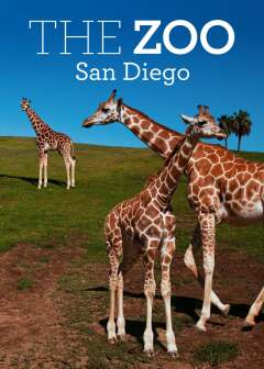 ზოოპარკი: სან დიეგო ქართულად - The Zoo: San Diego
