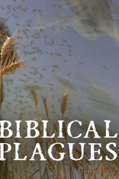 The Biblical Plagues