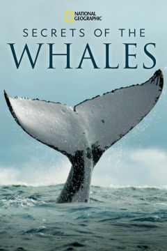 Secrets of the Whales