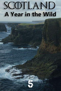 Scotland: A Wild Year