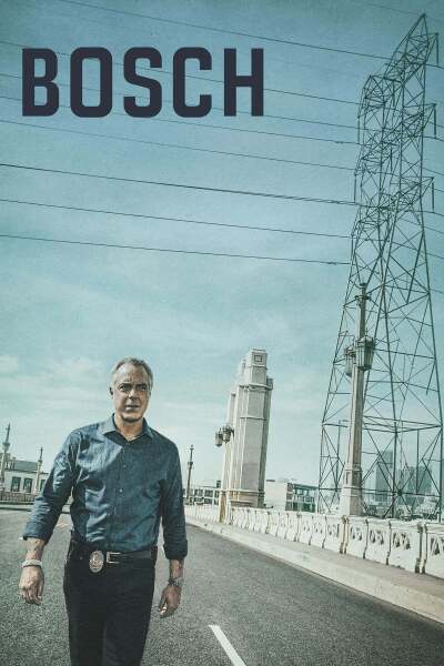 ბოში ქართულად - Bosch