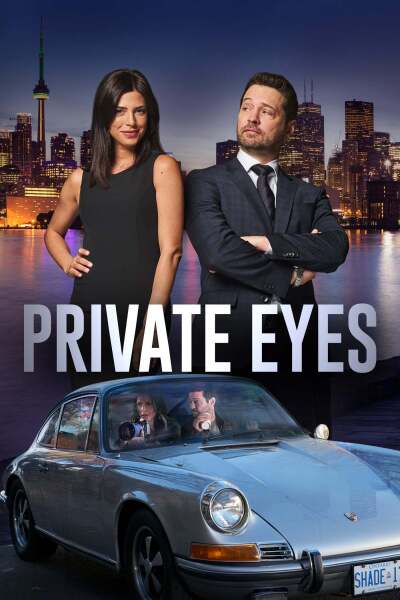 კერძო დეტექტივები ქართულად - Private Eyes