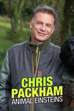 Chris Packhams Animal Einsteins