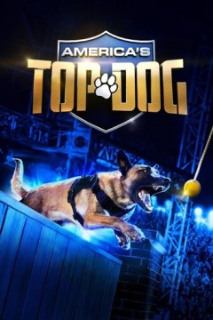 Americas Top Dog