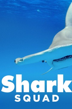 Shark Squad