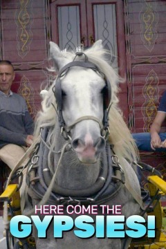 Here Come the Gypsies!