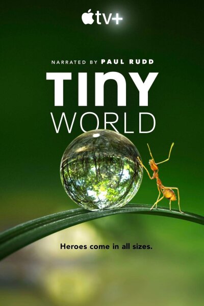 Tiny World ქართულად - Крошечный мир