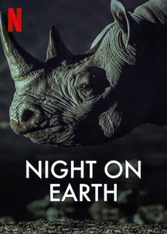 ღამე დედამიწაზე ქართულად - Night on Earth