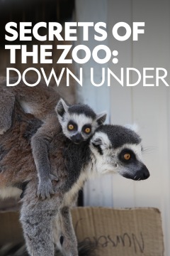 Secrets of the Zoo: Down Under