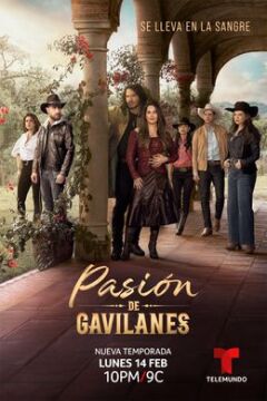 ფარული ვნება 2 ქართულად - Pasión de gavilanes