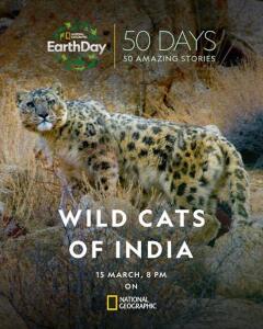 Wild Cats of India