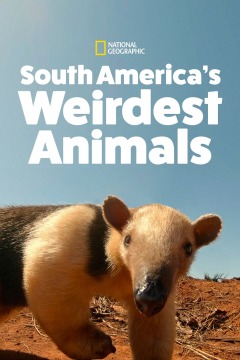 South Americas Weirdest Animals