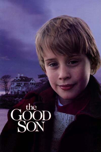 კარგი შვილი ქართულად - The Good Son