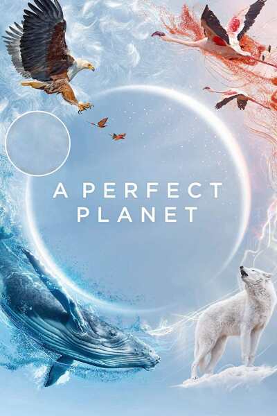 A Perfect Planet ქართულად - Идеальная планета