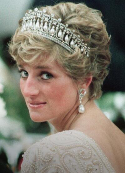 The Diana Investigations