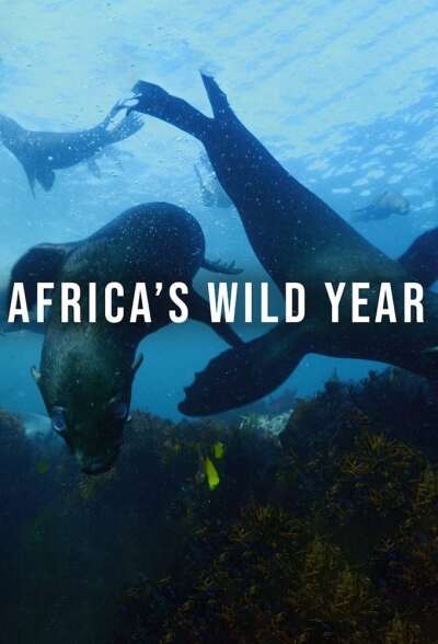 Africas Wild Year