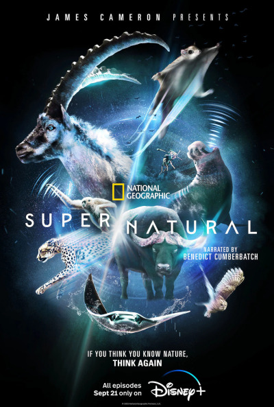 Super ქართულად - Natural