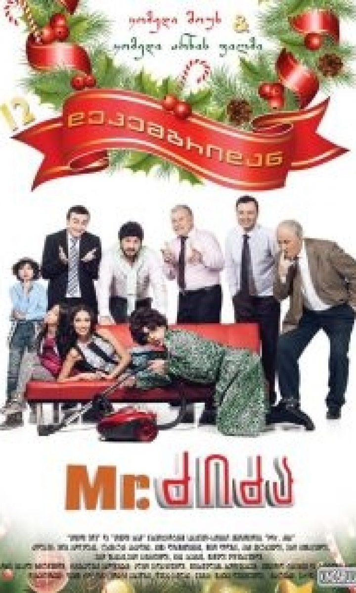 მისტერ ძიძა ქართულად - MR. NANNY