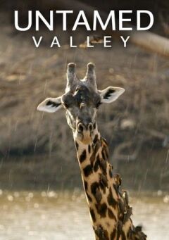 Untamed Valley
