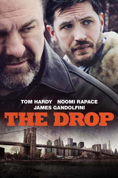 დაცემა ქართულად - The Drop