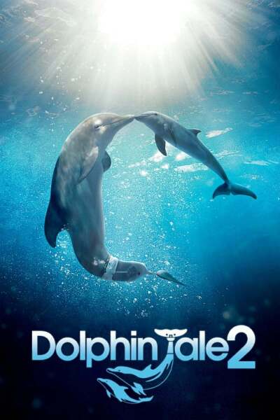 დელფინის ამბავი 2 ქართულად - Dolphin Tale 2