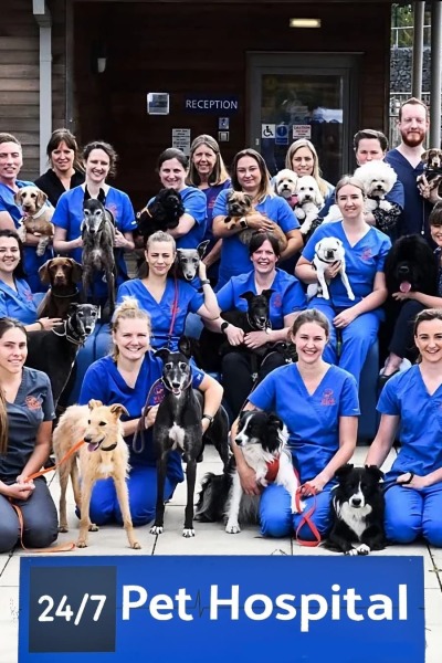 24 ქართულად - 7 Pet Hospital