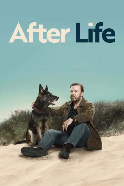 სიცოცხლის შემდეგ ქართულად - After Life