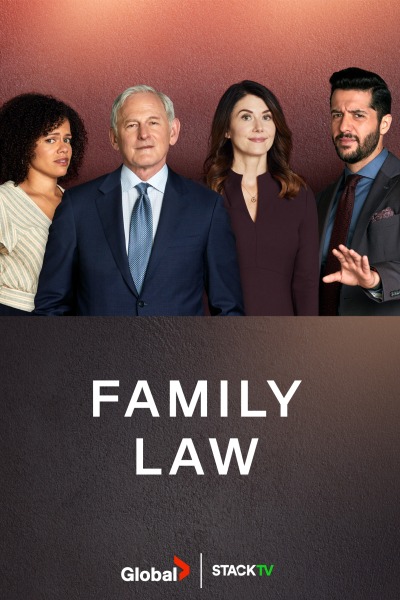 Family Law ქართულად - Семейная юрфирма