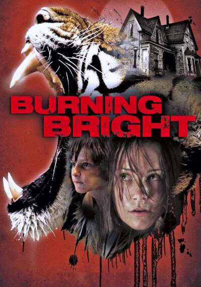კაშკაშა სინათლე ქართულად - Burning Bright