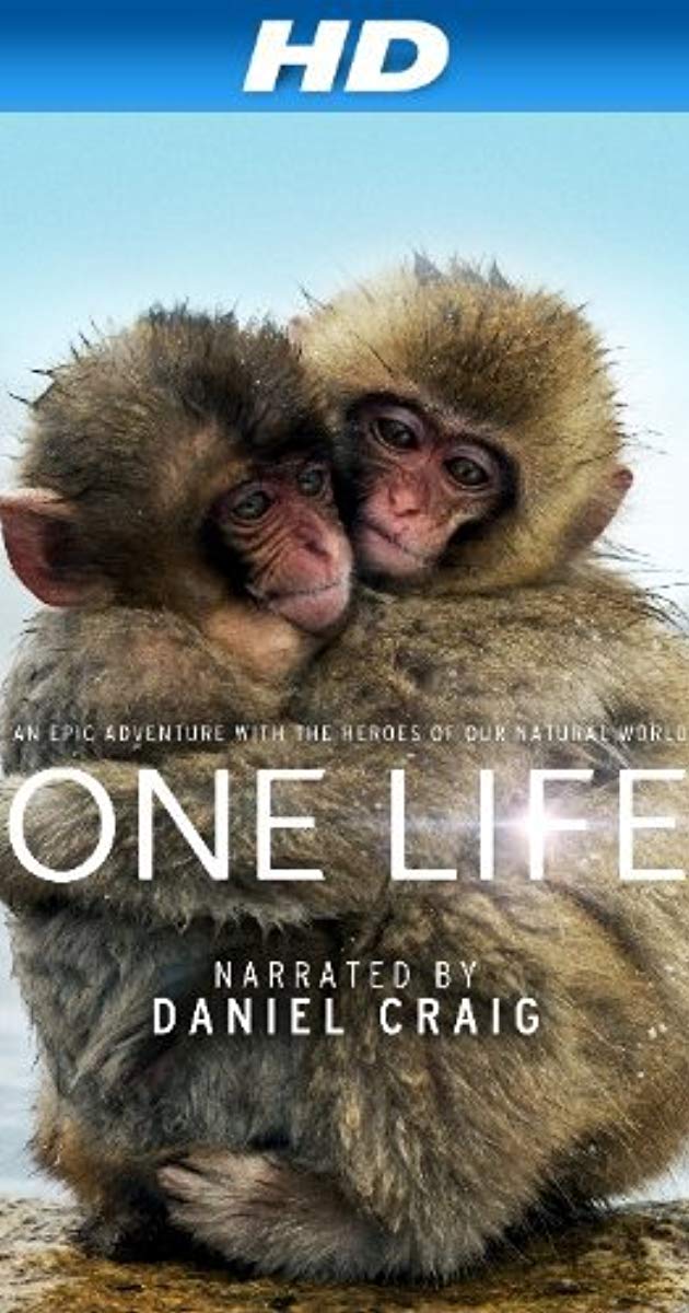 ერთი სიცოცხლე ქართულად - One Life
