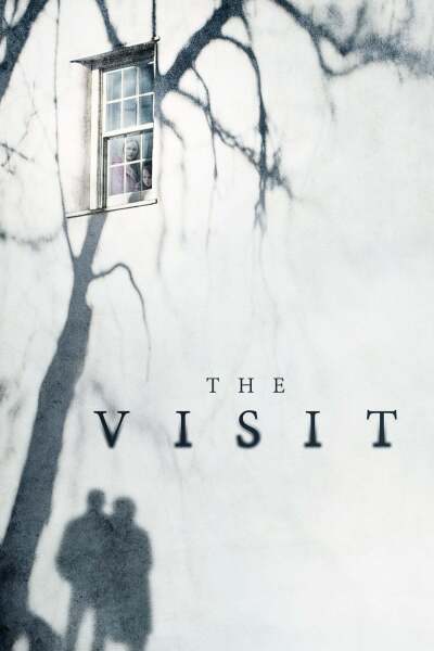 სტუმრობა ქართულად - The Visit