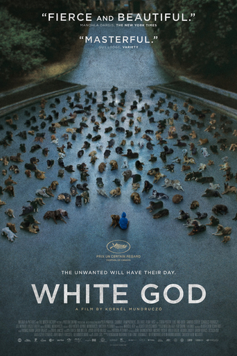 თეთრი ღმერთი ქართულად - White God